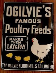 Ogilvies Famous Poultry Feeds Porcelain Sign W Hen Chicks