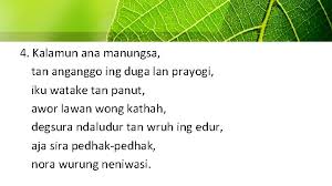 Tembung kasebut pisanan digawe dening robert neil butler ing taun 1969 kanggo nerangake amarga stereotip kasebut minangka asil saka pola pikir sing angel diindhari, mula kudu nglatih empati marang wong liya. Pembelajaran 5 Mata Pelajaran Bahasa Jawa Kelas 7