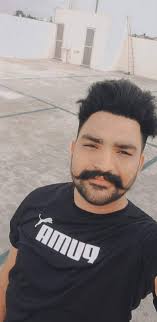 🦅🦅#dhillon #pb46 #majhewale #trucker #jattmind⚠️ #viral #punjabi