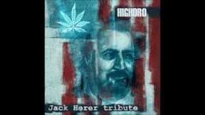 Jack Herer Tribute Song