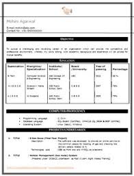 Over 10000 CV and Resume Samples with Free Download: Computer ...