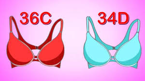 Everything you need to know about how to measure your bra size, from how to the first step to figuring out the proper bra size is measuring for the band, which does require a little bit of if the cup of your 36b is too small, try a 34c and see how it fits. 4 Ways To Measure Your Bra Size Wikihow