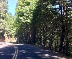 Standish hickey state recreation area. Standish Hickey State Recreation Area 7 Picture Of Standish Hickey State Recreation Area Leggett Tripadvisor