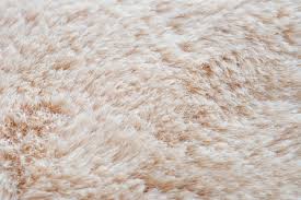 We did not find results for: 300 White Fur Rug Pictures