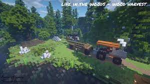 Download packs life in the woods 1.18/1.17.1/1.17/1.16.5/1.16.4/forge/fabric/1.15.2 for minecraft. Life In The Woods Minecraft Map