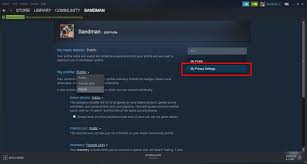 How To Hide Your Activity On Steam Activities Steam Website Steam App