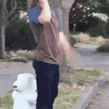 No Head Gifs Tenor