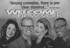 The story of five young new yorkers who all visit the same therapist to work through their crazy first experiences in the big apple. Welcome To New York Tv Series 2000 2001 Imdb