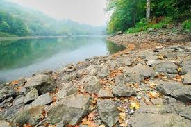 Biogradska gora is a national park located within bjelasica mountain, just 10 miles outside kolašin, montenegro. Biogradska Gora National Park Admission Ticket 2021 Podgorica