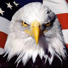 Bald Eagle Flag Canvas Set God Bless America America American Pride