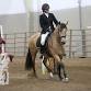 WE Oregon – Feb WE Clinic & Show(s)