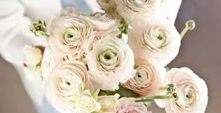 Or how do i get the very best wedding flowers? Best Flowers For Wedding Bouquets Velvet Leaf Studio