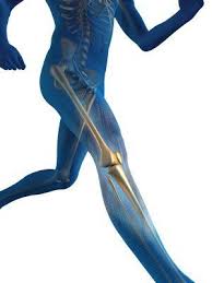 All About Pediatric Physiotherapy Physiotherapy Knee Joint Exercise For Kids