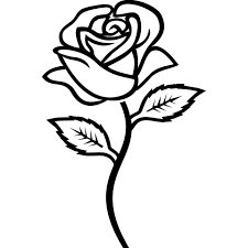 Choose from our handpicked collection of free, hd rose pictures and images. File Rose Flower Svg Wikipedia