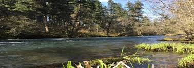 Riverfront property on the delaware in the heart of shawnee! Husum River Camp Washington River Property Fay Ranches