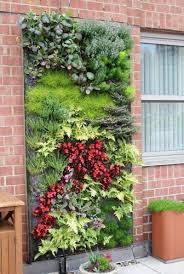 Bauen sie das ganze gerüst zuerst auf und hängen sie es erst in einem fertigen zustand an die wand auf. Ein Vertikaler Garten Selber Bauen Schritt Fur Schritt Anleitung Garten Haus Garten Wandverkleidung Zenideen Vertikaler Garten Pflanzen Vertikaler Garten Diy