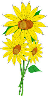 Nah itulah kumpulan 50+ gambar bunga matahari atau sunflower images, baik berupa foto bunga matahari, wallpaper bunga matahari keren, gambar. Matahari Bunga Tanaman Gambar Vektor Gratis Di Pixabay