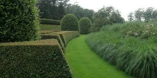 Pin By Ron Wendt Design On Garden Inspiration Private Garden Dutch Gardens Topiary Garden