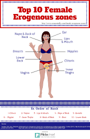 Specific Erogenous Zones Chart 2019