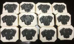 Dog Face Decorated Sugar Cookies By I Am The Cookie Lady Sugar Cookies Decorated Cupcake Cookies Cookies