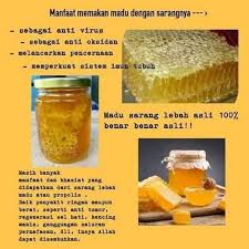 Antara penemuan saintifik tentang khasiat madu Madu Sarang Asli Murni Original Epis Melifera Netto 100 Gram Lazada Indonesia