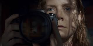 Joe wright ya había dirigido al actor gary oldman en el instante más oscuro (2017), filme que le valió a oldman el oscar a mejor actor. Estrenos Online Critica De La Mujer En La Ventana De Joe Wright Netflix Micropsia