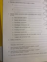 W's quiz page and take the interactive video quizzes. Mitosis And Meiosis 1 And 2 Summary Answer Key
