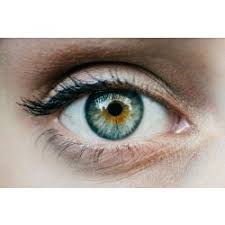 Blue, green, brown, hazel, amber, red, and gray. True Eye Color Quizzes