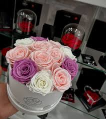 Floristería Escudero