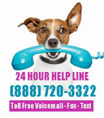 We do not have the facility or financial means to take in dogs yet. Private Cincinnati Pet Rehoming Services Rehome A Dog Cat Puppy Kitten In Cincinnati Oh