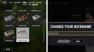 How to change your name in pubg. How To Change Name In Pubg Pc And Mobile A Quick Guide Guides News