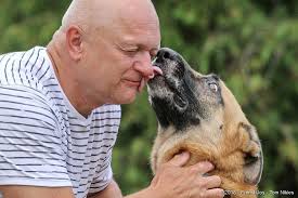 Psi k adopci z útulků, azylů a neziskových organizací