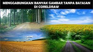 Saat kita ingin membuat sebuah karakter orang, mestinya kita harus melakukan import media atau file gambar yang kita ingin jadikan menjadi karakter kartun. Cara Menggabungkan Banyak Gambar Tanpa Terlihat Batasnya Di Coreldraw Youtube