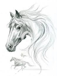 Drawing Pencil Horse Google 45 Super Ideas Horse Art Drawing Animal Drawings Horse Drawings
