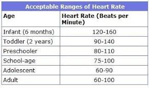 59 Uncommon Sitting Heart Rate Chart