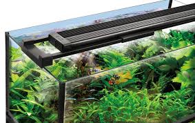 Aquarium Light Aquarium Lighting Led Aquarium Lighting Aquarium