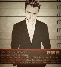 Lady Snark Harry Potter Harry Potter Cast Harry Potter Obsession