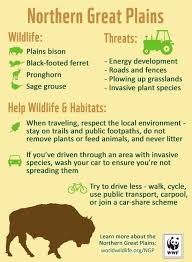 The Northern Great Plains Spans More Than 180 Million Acres And Crosses Five U S States And Two Canad Wildlife Conservation Endangered Animals Animal Activism