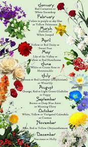 Exquisite Banana Language Of Flowers Birth Month Flowers Birth Flowers Month Flowers