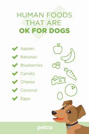 People Foods Your Dog Can Eat Dog Wellness Dog Nutrition Animal Nutrition