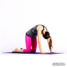 Each movement is done in conjunction with either an inhalation or exhalation of the breath, making this a simple vinyasa (linking breath to movement). Cat Cow Exercise How To Workout Trainer By Skimble