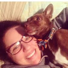 Missing 5-pound dog in Colorado area