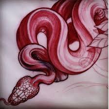 Pin By Awa Caille On Drawing Ideas Body Art Tattoos Drawings Snake Tattoo