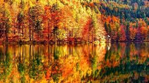 Autumn Is The Most Colorful Of Seasons Description From Wallpaperfx Com I Searched For This On Bing Co Autumn Landscape Desktop Wallpaper Fall Fall Wallpaper