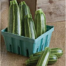 Bush Baby Squash Seeds Zucchini Baby Squash