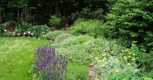 Transition Between Lawn And Woods Rock Wall Gardens Outdoor Gardens Cottage Garden
