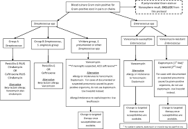 May 26, 2018 · gram positive cocci in clusters is easy for medical lab technologist to identify the appearance and arrangement of gram positive cocci. Development Of A Treatment Algorithm For Streptococci And Enterococci From Positive Blood Cultures Identified With The Verigene Gram Positive Blood Culture Assay Journal Of Clinical Microbiology