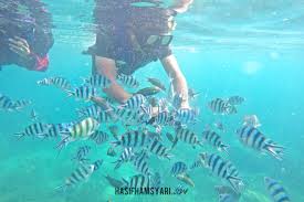 Di pulau sumatera juga berdiri kerajaan srivijaya yang kemudian berkembang menjadi kerajaan besar pertama di nusantara yang memiliki. 8 Aktiviti Paling Cool Di Pulau Kapas Terengganu