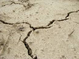 According to sapeople contributor thea venter, her whole house shook. Earth Quake Tremor