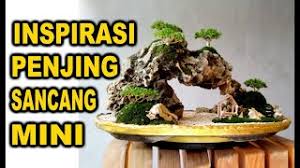 Read reviews from world's largest community for readers. Perkembangan Dan Pembentukan Ranting Bahan Bonsai Portulacaria Afra